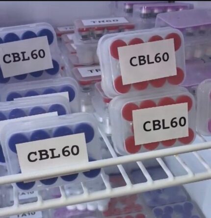 Cerebrolysin
